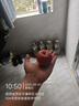 昭通丑蘋(píng)果云南冰糖心蘋(píng)果整箱生鮮禮盒中秋送禮【多地次日達】 精選果【單果50-60mm】 5斤裝【80%人選】 曬單實(shí)拍圖
