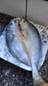 黃小漁寧德黃魚(yú)鲞400g/2條 三去大黃魚(yú)黃花魚(yú)生鮮 海鮮水產(chǎn)燒烤魚(yú)類(lèi)中秋 曬單實(shí)拍圖