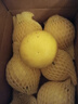 京鮮生 福建黃金葡萄柚 4.5-5斤 單果300g起 生鮮水果 源頭直發(fā)包郵 曬單實(shí)拍圖