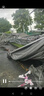 希洛普（SEALUP） 鋰電池電動(dòng)滑板車(chē) 便攜可折疊電動(dòng)車(chē) 代駕兩輪代步車(chē)迷你電動(dòng)車(chē) 36V黑/朝陽(yáng)真空胎/3C金宇星/40-50km 曬單實(shí)拍圖