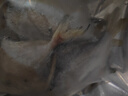 野生海捕銀鯧魚(yú)5條/斤新鮮冷凍批發(fā)海鮮水產(chǎn)白鯧魚(yú)一箱海魚(yú)扁平魚(yú) 野生海捕銀鯧魚(yú)500g/袋*3（15條） 曬單實(shí)拍圖
