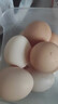 散養農家土雞蛋草雞蛋40-50g 溏心蛋早餐新鮮雞蛋京東包郵買(mǎi)菜 10枚土雞蛋 曬單實(shí)拍圖
