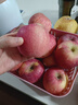 京鮮生 山東煙臺紅富士蘋(píng)果 凈重9斤 果徑80mm+ 新鮮水果 源頭直發(fā) 曬單實(shí)拍圖