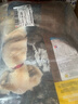紐頓 T28中小型犬全價(jià)狗糧泰迪博美 鮭魚(yú)&鱒魚(yú)配方12斤 6kg 美國進(jìn)口 曬單實(shí)拍圖