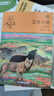 五只小狼升級版 動(dòng)物小說(shuō)大王沈石溪品藏書(shū)系 小學(xué)生課外讀物 課外閱讀 暑期閱讀 課外書(shū) 曬單實(shí)拍圖