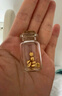 領(lǐng)豐金黃金豆豆AU9999足金實(shí)心真金豆子收藏節日禮物送女友送朋友小金豆 金豆1g 曬單實(shí)拍圖