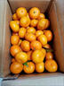 枝遙江西南豐蜜桔貢桔小桔子新鮮現摘當季水果無(wú)核砂糖冰糖橘產(chǎn)地直發(fā) 5斤【精選品質(zhì)大果】?jì)糁?.5斤 【優(yōu)質(zhì)蜜桔】泡沫箱裝【10斤為彩箱裝】 曬單實(shí)拍圖