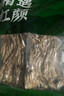 相遇紅顏茶樹(shù)菇220g云南野生菌特產(chǎn)山珍菌菇蘑菇煲湯炒菜火鍋食材 曬單實(shí)拍圖