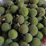 海南熱帶特產(chǎn)新鮮黃肉菠蘿蜜水果現摘現發(fā) 京東快遞包郵 云南新鮮菠蘿蜜8-10斤 曬單實(shí)拍圖
