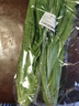 【24小時菜】油麥菜 300g 曬單實拍圖