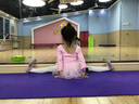 艾舞戈兒童舞蹈服女童專(zhuān)業(yè)練功服幼兒芭蕾舞裙衣服小女孩紗裙中國舞服 粉色-長(cháng)袖 120 曬單實(shí)拍圖