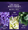 金紡高能護(hù)衣精華700g衣服濃縮柔順劑護(hù)形護(hù)色留香 【薰衣草小蒼蘭】700g*5 曬單實(shí)拍圖
