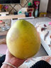 超值黃皮葡萄柚爆汁新鮮水果酸甜可口久雅 黃皮葡萄柚帶箱2斤（2-4枚裝） 曬單實(shí)拍圖