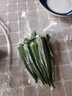 ezeeseal艾澤西爾立式真空封口機家用商用干濕兩用全自動(dòng)抽真空小型保鮮食品密封塑封機真空壓縮封口機 銀色【下單贈110片封口袋】 曬單實(shí)拍圖