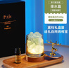 朵帆香薰燈擺件禮盒擴香石臥室氛圍燈閨蜜生日禮物女生小眾高級感精致 曬單實(shí)拍圖