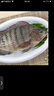 翔泰海南三去羅非魚(yú)/海南鯛1400g/共4條免處理 生鮮魚(yú)類(lèi) 海鮮水產(chǎn)中秋 曬單實(shí)拍圖