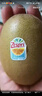 佳沛（zespri）新西蘭  陽(yáng)光金奇異果10粒禮盒巨大果單果約144-175g 水果 獼猴桃 曬單實(shí)拍圖