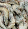 東上御品 國產(chǎn)青島大蝦 特大號白蝦 2030規格 凈重3斤 盒裝活凍 曬單實(shí)拍圖