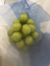 京覓 陽(yáng)光玫瑰晴王葡萄 現摘青提 凈4斤 單顆10g起 新鮮葡萄 源頭直發(fā) 曬單實(shí)拍圖