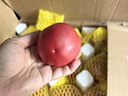 京鮮生 山東普羅旺斯西紅柿 凈重4.5斤 單果115g+ 沙瓤番茄 源頭直發(fā) 曬單實拍圖