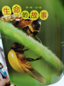 生命的故事 第1輯（共10冊?）蝌蚪小龍蝦西瓜蟲(chóng)螳螂螞蟻瓢蟲(chóng) 3-6歲昆蟲(chóng)高清實(shí)拍科普百科繪本 自然科學(xué)知識課外閱讀《人民日報》推薦 曬單實(shí)拍圖