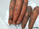 新鮮帶泥胡蘿卜新鮮蔬菜農家水果蘿卜應季新鮮蔬菜紅薯早餐營(yíng)養 胡蘿卜2斤帶箱 200g+/支 曬單實(shí)拍圖