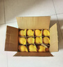 正宗煙臺蘋(píng)果棲霞紅富士脆甜新鮮水果整箱生鮮蘋(píng)果水果 凈重8.5斤75mm 曬單實(shí)拍圖