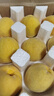 京鮮生 山東蒙陰黃桃凈重4.5斤單果150g+新鮮水果源頭直發(fā)包郵 曬單實(shí)拍圖