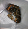 【活蟹】蟹叁鉗莊鮮活大閘蟹現(xiàn)貨全母蟹2.0-2.3兩6只螃蟹去繩足重海鮮中秋禮盒 曬單實(shí)拍圖