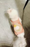 阿莫爾狗狗衣服秋冬裝可愛(ài)背帶褲棉衣寵物貓咪小型犬冬季加絨保暖四腳衣 小兔四腳衣 XS【建議1-2斤 具體參考胸圍背長(cháng)】 具體參考胸圍背長(cháng) 曬單實(shí)拍圖