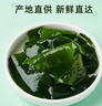 小海故事 大連有機干裙帶菜凈含量260g/罐 源頭直發(fā) 頭茬海芽菜兒童營(yíng)養餐 曬單實(shí)拍圖