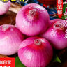 新鮮洋蔥紫洋蔥生鮮蔥頭超市蔬菜調料即食涼拌水果洋蔥 【嘗鮮】 500g 毛重 曬單實(shí)拍圖
