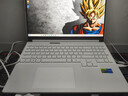 機械革命【國家補貼20%】極光X 潮玩版 酷睿i7HX 游戲本筆記本電腦(i7-14650HX 32G 1T RTX5060  300Hz 白) 曬單實(shí)拍圖