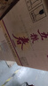 五糧液（WULIANGYE）五糧春 二代品鑒光瓶 濃香型白酒 52度 500mL 6瓶 整箱 曬單實(shí)拍圖