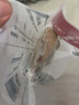 1號會(huì )員店 單凍雞大胸  出口級食材 雞肉雞胸肉健身雞胸肉雞里脊 凈重2斤 曬單實(shí)拍圖
