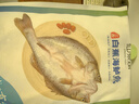 仙泉湖三去白蕉海鱸魚(yú)1斤/條凈膛冷凍刺少肉厚珠海特產(chǎn)500g生鮮食材 曬單實(shí)拍圖