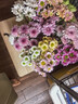 隨機混色小雛菊6支家庭養花云南基地鮮切花優(yōu)質(zhì)新鮮采摘 隨機混色小雛菊6支 曬單實(shí)拍圖