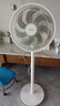 美的（Midea）電風(fēng)扇 家用七葉立式落地扇宿舍臥室輕音節(jié)能搖頭桌面小風(fēng)扇大風(fēng)力空氣循環(huán)風(fēng)扇 SAF30AC  曬單實拍圖