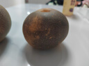 正宗脆甜山東豐水梨當季新鮮秋季節月梨子薄皮梨子爆甜多汁 5斤帶箱 凈重4.5斤 【超值裝】單果250g+ 曬單實(shí)拍圖