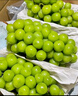 京鮮生陽(yáng)光玫瑰香青提凈重4.5-5斤裝單果10g 葡萄/提子 水果源頭直發(fā) 曬單實(shí)拍圖