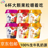 伊利大果粒酸奶260g*6杯（草莓桑葚+草莓黃桃+芒果黃桃）源頭直發(fā)包郵 曬單實(shí)拍圖