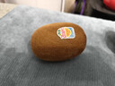 佳沛（zespri）新西蘭  陽(yáng)光金奇異果10粒禮盒巨大果單果約144-175g 水果 獼猴桃 曬單實(shí)拍圖