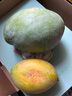 果戀匯（GUOLIANHUI）現貨海南三亞水仙芒新鮮特大芒果黃皮應季水果當季現摘整箱 凈重5斤中果 曬單實(shí)拍圖