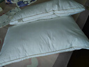 水星家紡枕頭枕芯酒店枕頭護頸枕頭芯家用一對純棉抗菌可水洗中枕48x74cm 曬單實(shí)拍圖