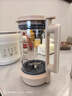 藍寶（BLAUPUNKT）智頻變速破壁機家用豆漿機全自動(dòng)免煮2025新款靜低音破壁機小型榨汁機米糊機磨粉機政府補貼02T 曬單實(shí)拍圖