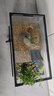 爬將軍深水烏龜缸小型家用烏龜生態(tài)缸烏龜飼養缸超白玻璃生態(tài)魚(yú)缸 50cm深水龜缸【單缸+蓋子+造景】 曬單實(shí)拍圖