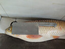 釣魚(yú)王 翹嘴子線(xiàn)雙鉤加長(cháng)金海夕鉤翹嘴魚(yú)線(xiàn)組 海夕鉤10#線(xiàn)2.0#1.6米,6付 曬單實(shí)拍圖