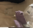 巴拉巴拉balaOne寶寶襪子秋季嬰幼兒地板襪防滑底膠棉三雙裝208325172201 曬單實(shí)拍圖