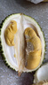 趣嘗鮮貓山王榴蓮馬來(lái)西亞D197液氮冷凍凈重3.5-4.0斤/個(gè) 曬單實(shí)拍圖