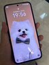 榮耀X70 新品上市 5G AI智能手機 【國家補貼15%】 金標十面抗摔防水 手機榮耀 月影白 8GB+128GB【2年碎屏險+3年質(zhì)?！?官方標配 曬單實(shí)拍圖